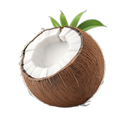Coconut & Caramel flavor
