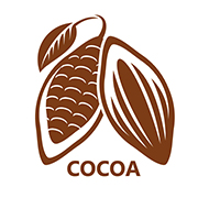 Dark Cocoa & Sea Salt flavor